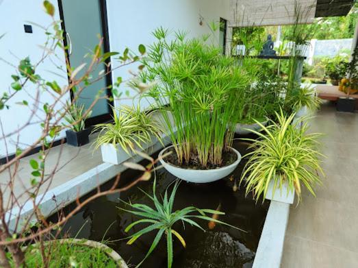 Kalametiya Bird Villa Tangalle Zewnętrze zdjęcie