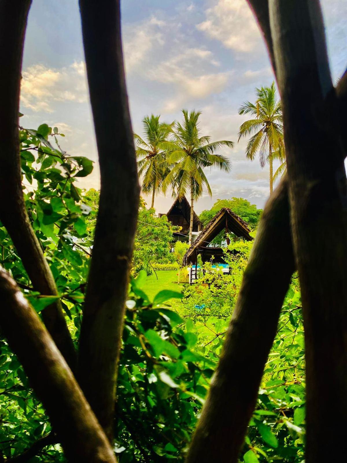 Kalametiya Bird Villa Tangalle Zewnętrze zdjęcie